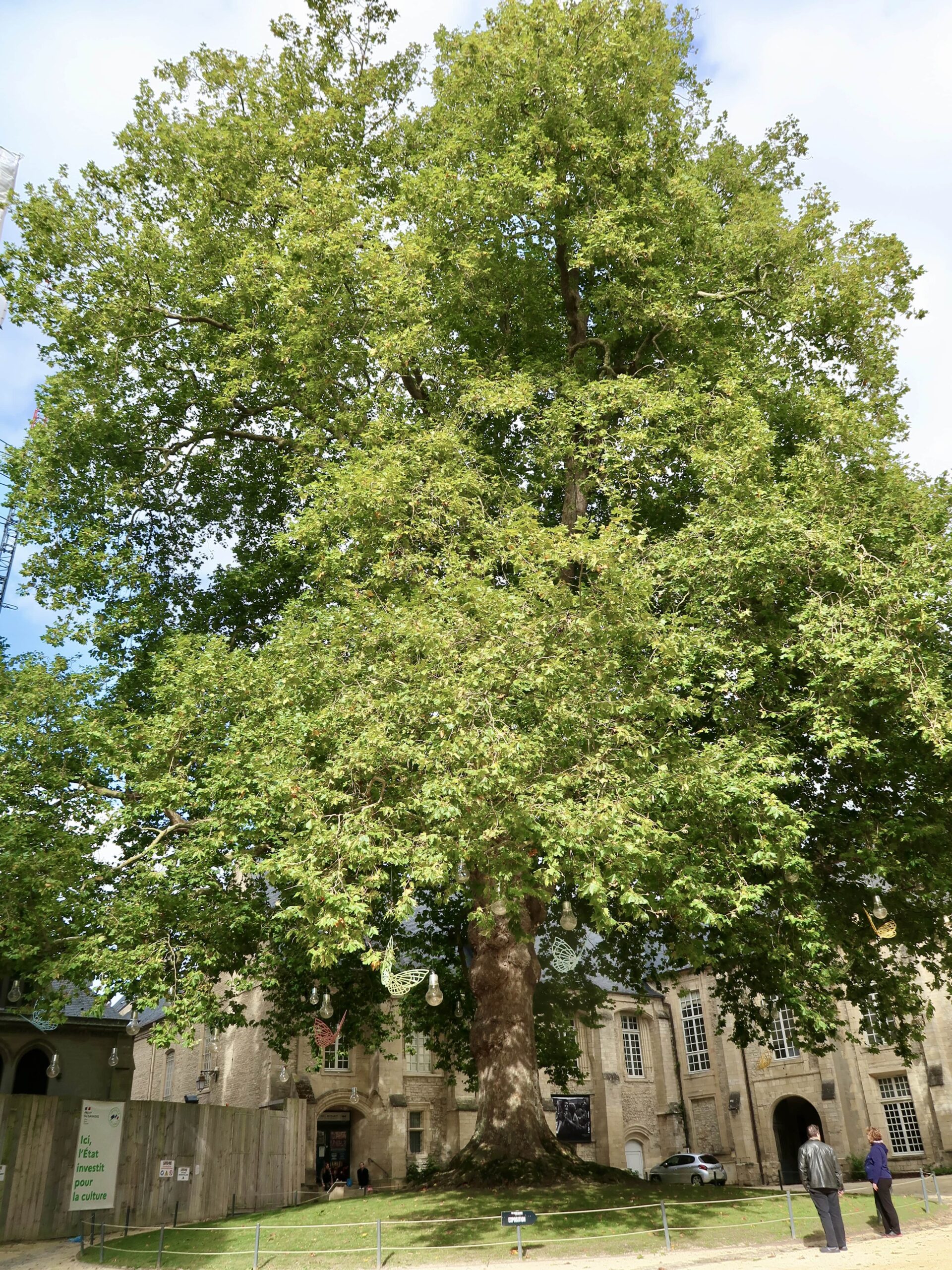 bayeux