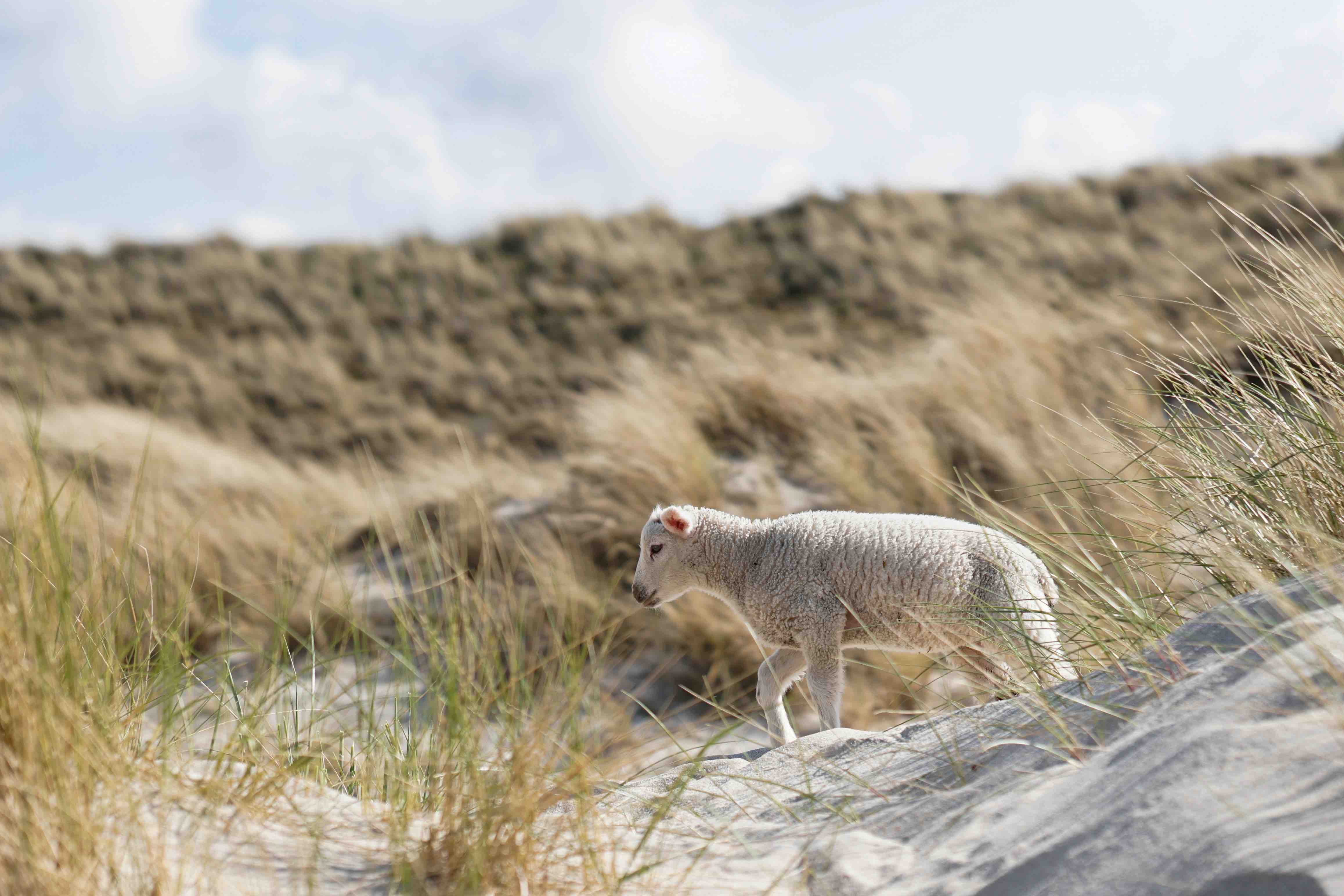 Sylt, Germany